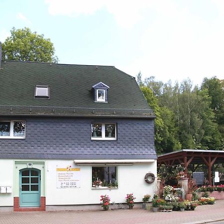 Fewo -Schiefe- Marie Oberlungwitz Exteriör bild